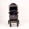 Popypapa D Stroller